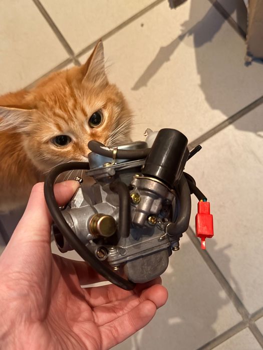 157 QMJ,  150 cc мотор в сборе + карбюратор