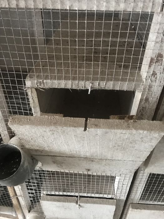 Клетки для кролей