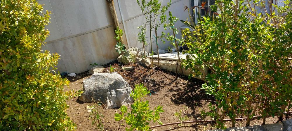 Trabalhos de jardinagem
