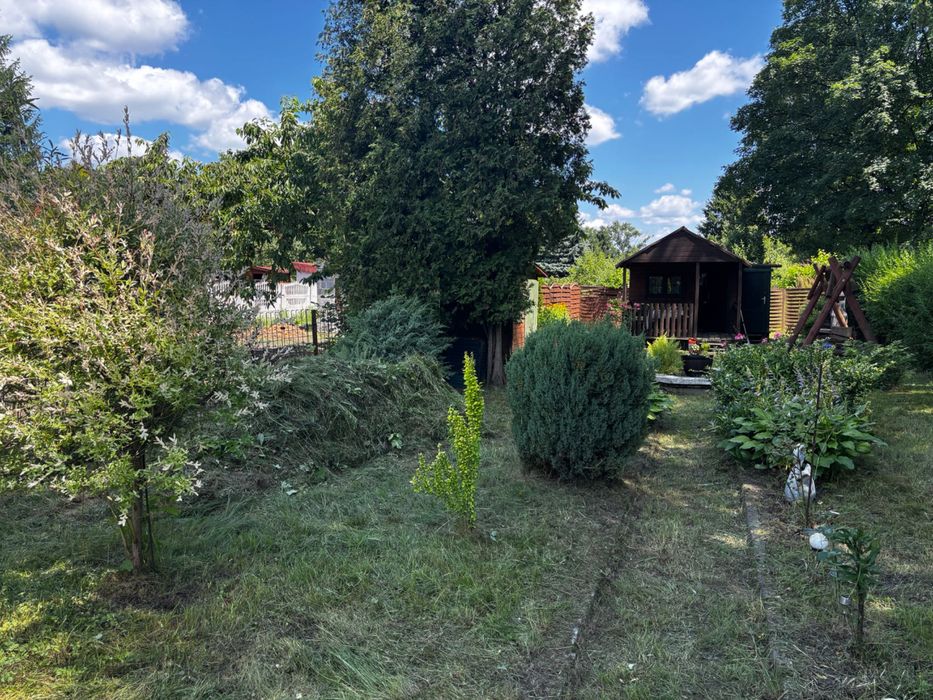 Ogródek dzialkowy