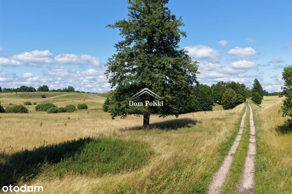 Malowniczy grunt rolny na Mazurach - 4,58 ha - Widok 5