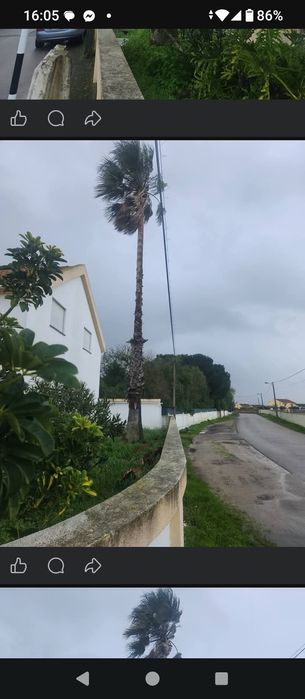 Faço limpeza de terrenos corte de árvores manutenção de jardins