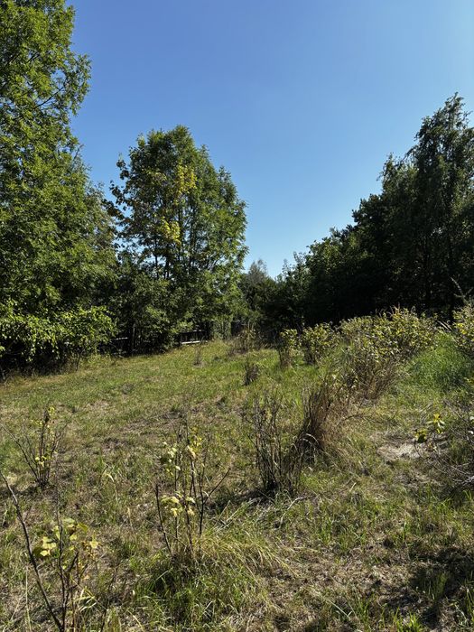 DZIAŁKA W BĘDKOWICACH/SOBÓTKA – u podnóża Ślęży, cisza, natura i świetna lokalizacja - Widok 3