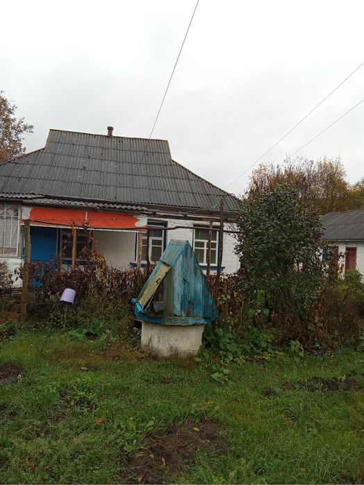 Дом в селе Лисовичи