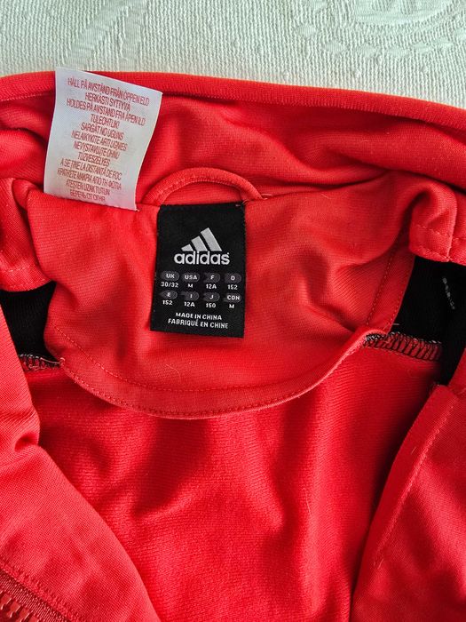 Fato de treino criança SL Benfica adidas M