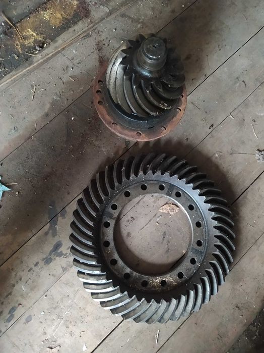 Daf xf koło talerzowe plus wałek 14/43