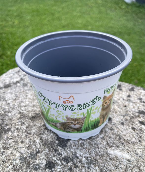 Conjunto de 50 vasos de plástico 12 cm. Gato