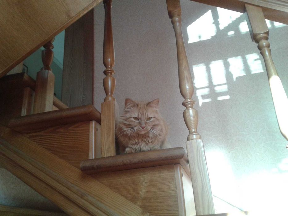 Продам дом в элитном районе