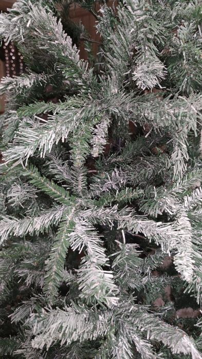 Ялинка в гарному стані, ёлка