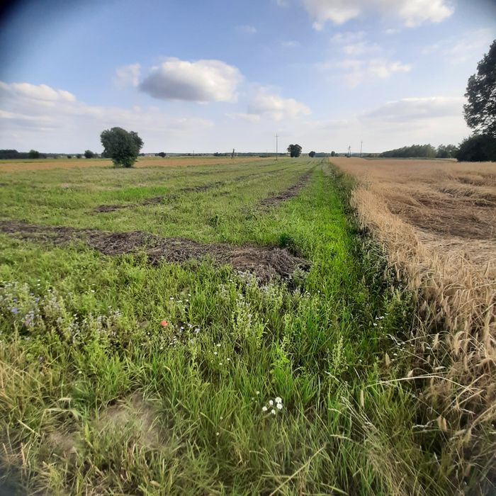 Sprzedam działkę rolną