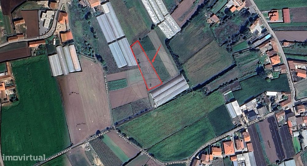 Plot for Sale