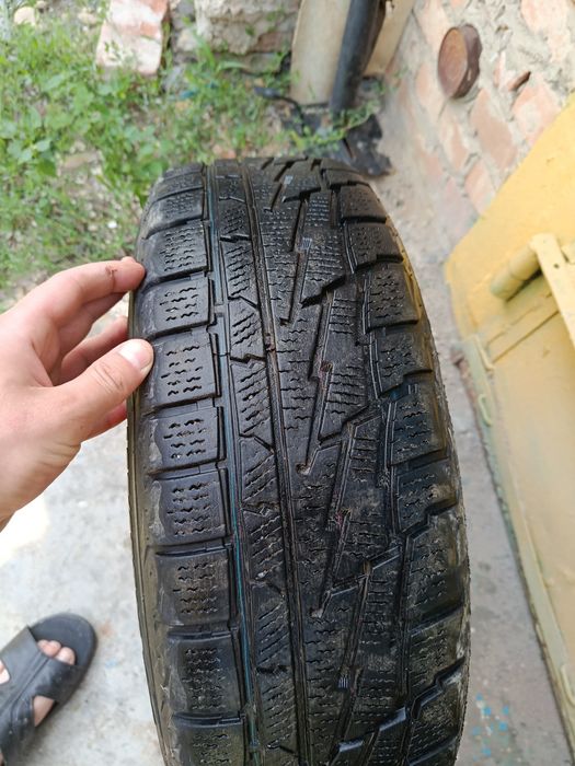Продам комплект шин приміорі