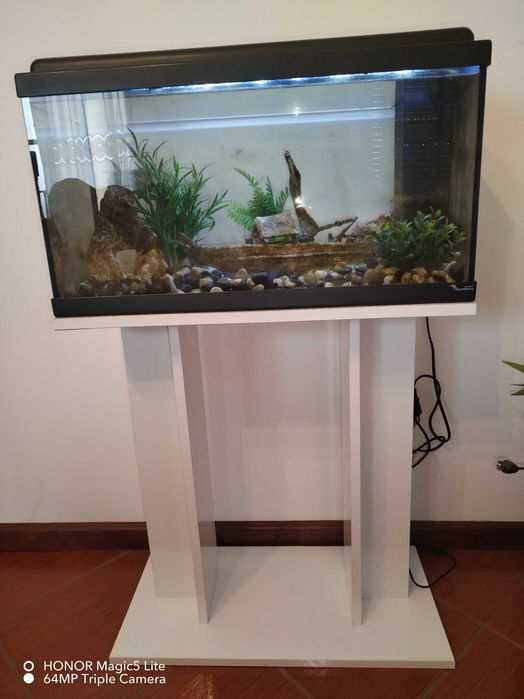 Aquário 70 L com vários assessórios