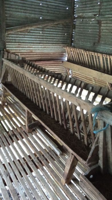 Comedores de feno para ovelhas ou cabras