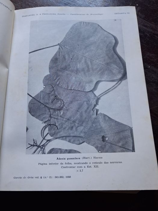 Garcia de Orta Revista das juntas missões Ultramar