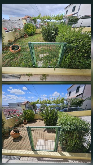 Limpeza de terreno e jardim