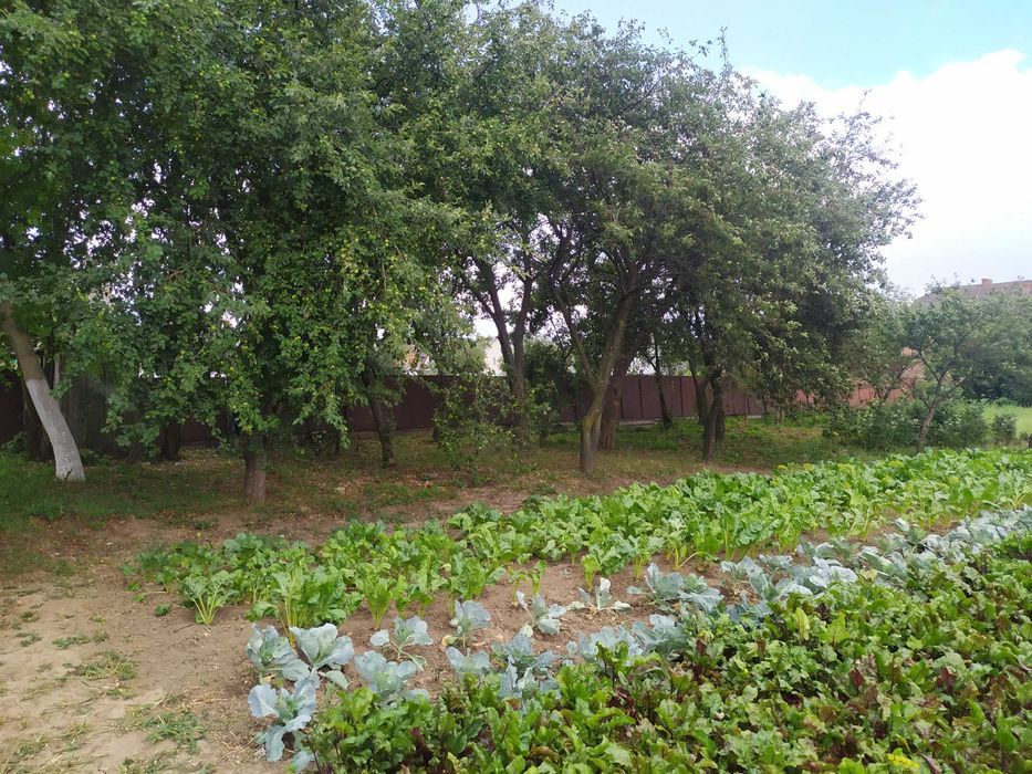 Незавершене будівництво