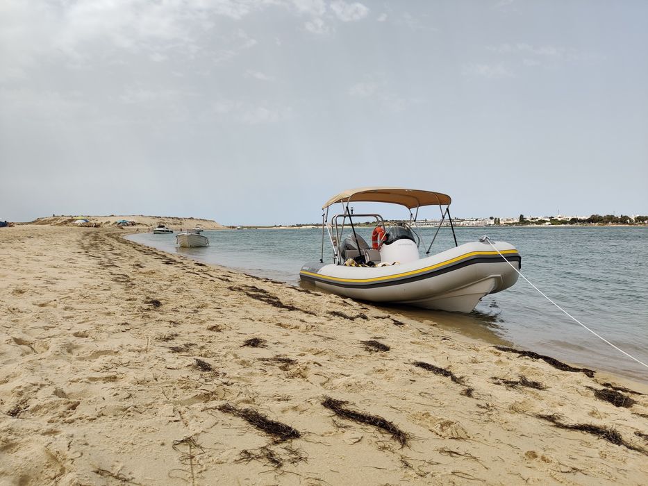 Vanguard 560 Family c/ Honda 100CV