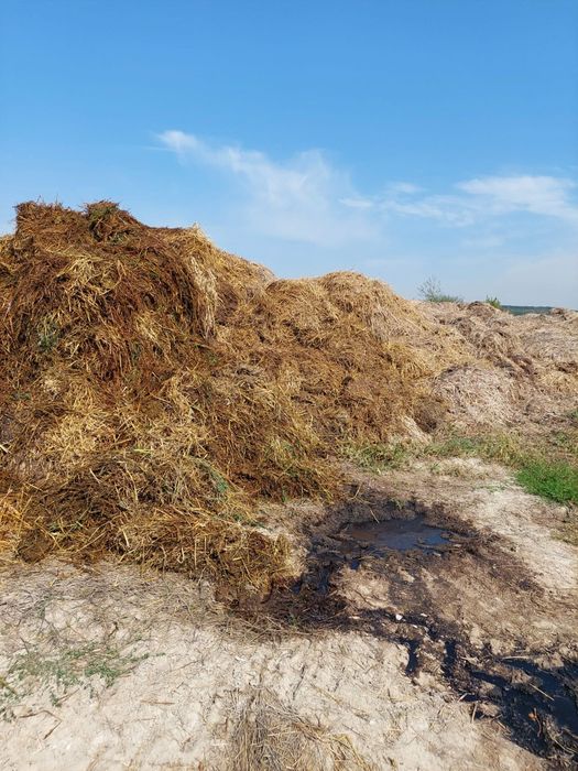 Obornik bydlęcy  treściwy duże ilości