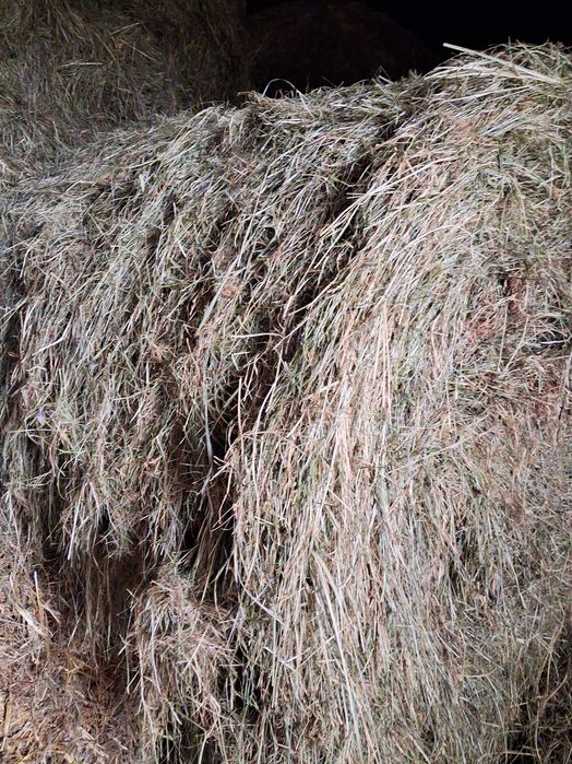 Sprzedam słomę i siano ze stodoły