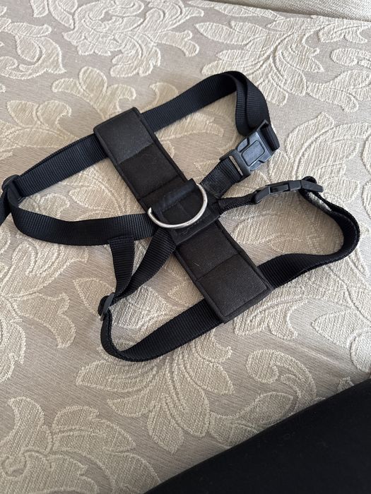 Este é um peitoral de segurança para carro para animais de estimação