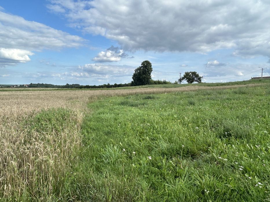 Działka budowlana Skrzelczyce