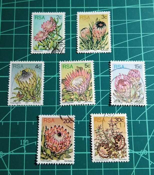 SELOS - ÁFRICA DO SUL 1 - 1977 - Flora - Plantas Protea
