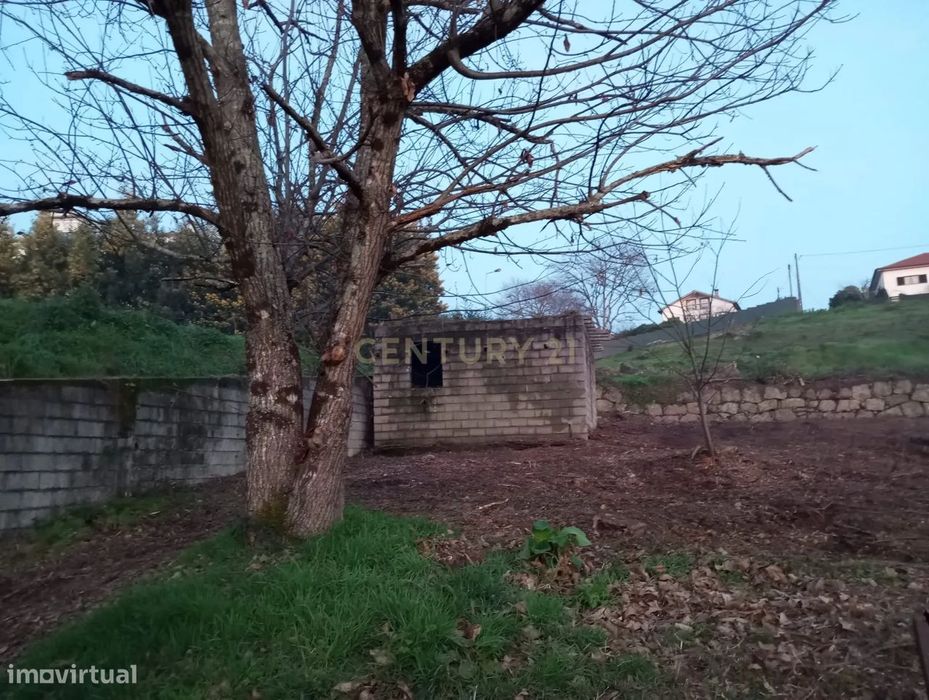 Terreno à venda em Santa Comba Dão, Viseu - 600m² — Santa Comba Dão E Couto Do Mosteiro, Viseu