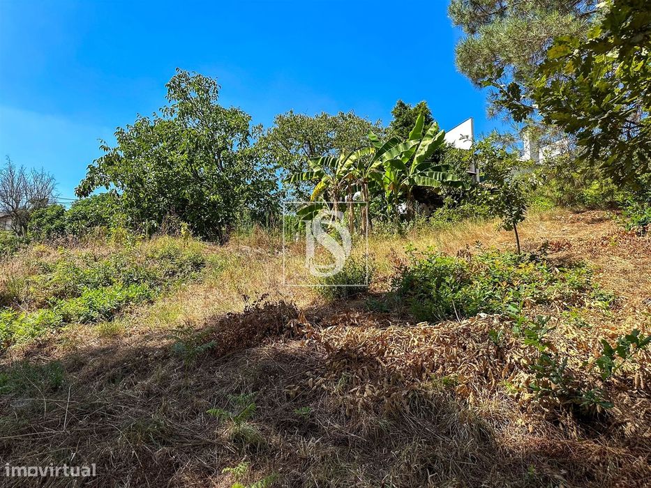 Terreno  Venda em Lufrei,Amarante