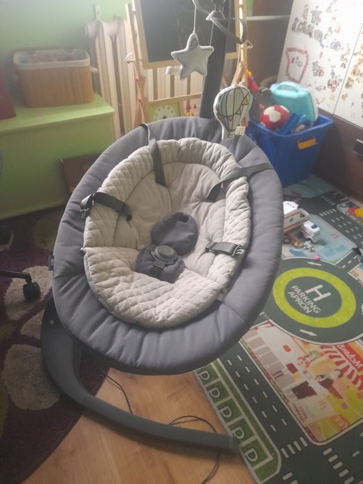 Bujak elektryczny Lionelo Rina