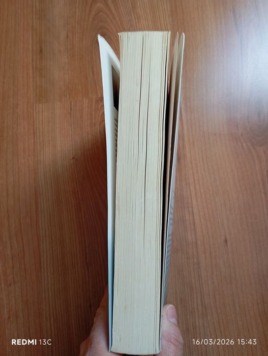 Livro"dezanove minutos"