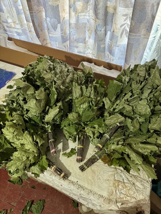 Віники для бані