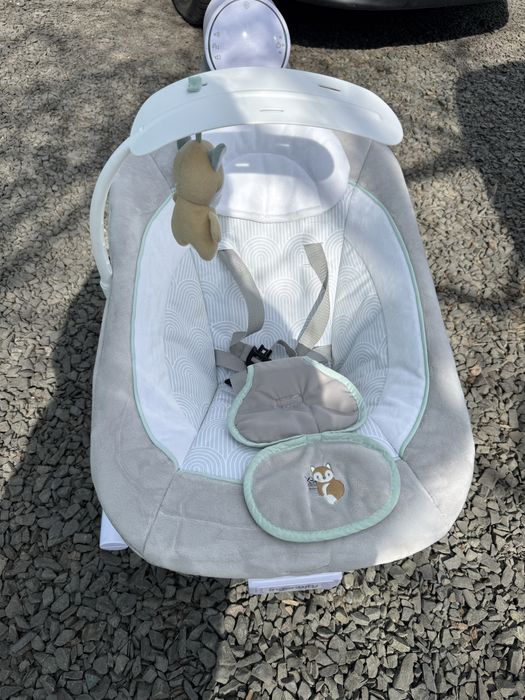 Крісло-гойдалка Ingenuity «AnyWay Sway-Spruce»