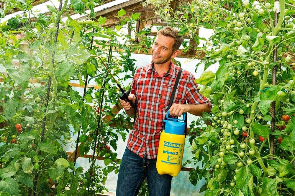 Pulverizador Elétrico , 3L