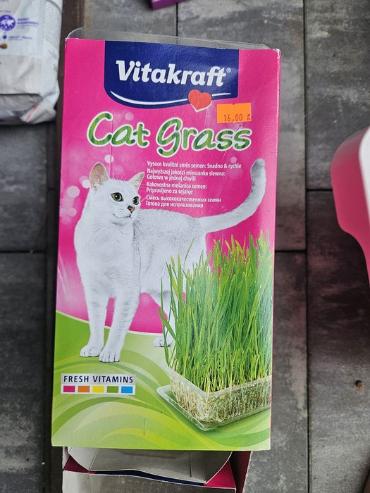 Trawa dla kota vitakraft