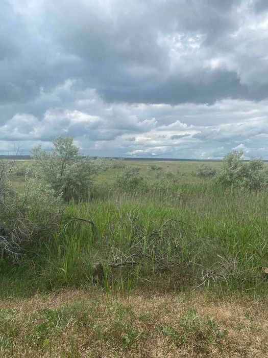 Продажа земельного участка 2га