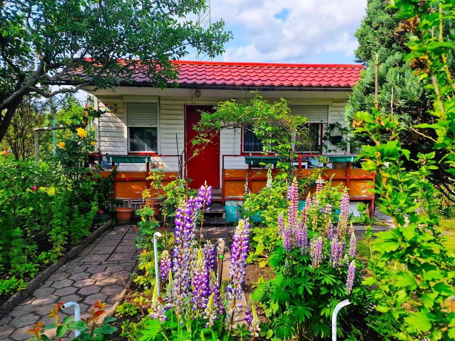 Działka ROD „Kolejarz” – zielona oaza w sercu Bydgoszczy