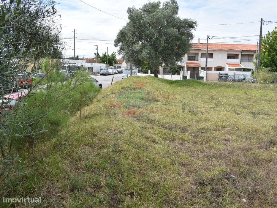 Lote para Moradia - S. Silvestre