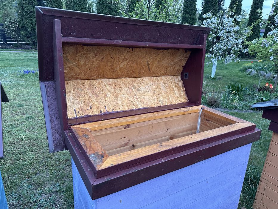 Ule Warszawskie zwykłe