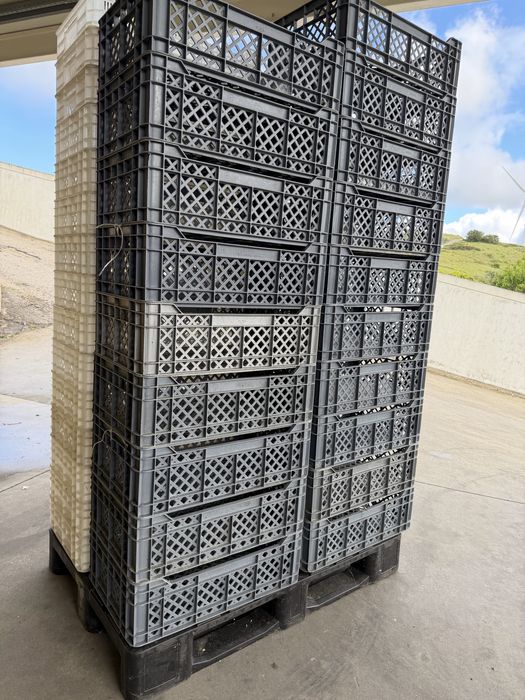 Caixas plastico 60 x 40