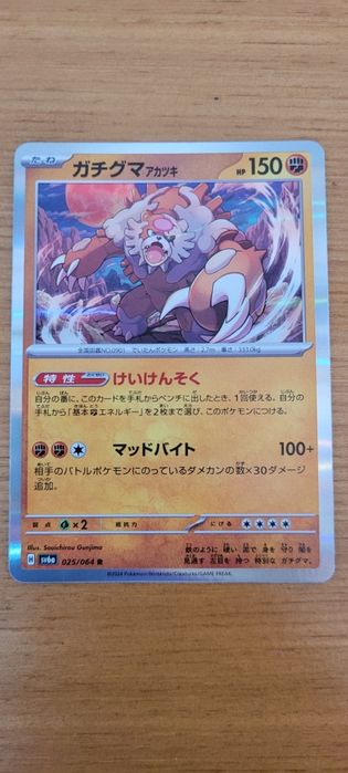 Conjunto de cartas pokemon (contêm  holos)