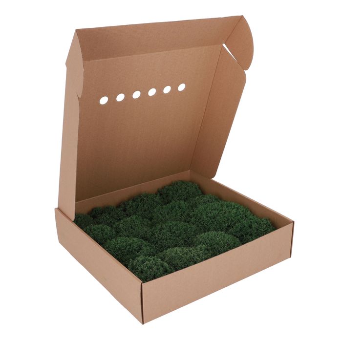 Стабилизированный Мох. Искусственный Мох