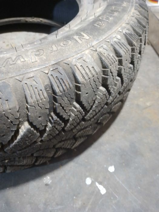 розина р 13 тунга нордвей  зимова