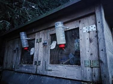 Sprzedam klatki na krówliki