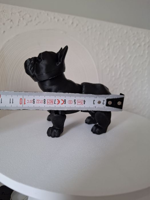 Cão de raça decorativo