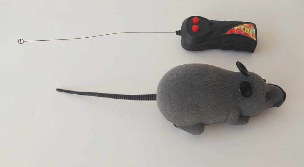 Rato com controlo remoto sem fio para animais domésticos