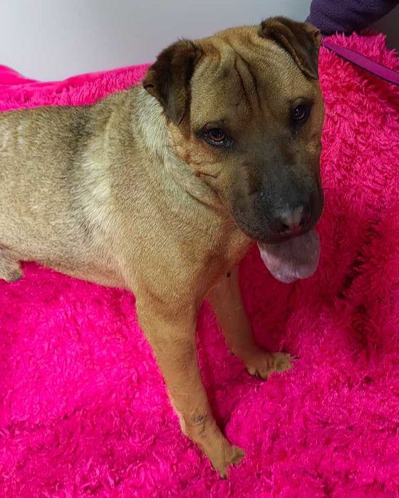 Będziesz ze mną chodzić?