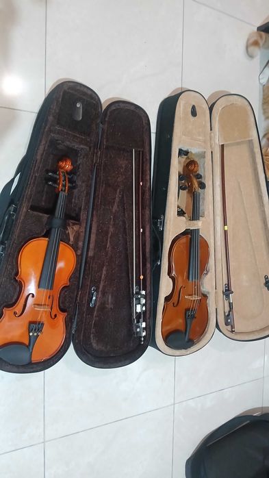 Violinos de criança