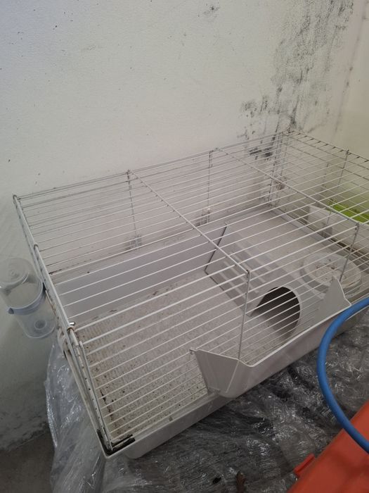 Gaiola para três porquinhos da índia