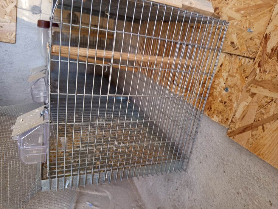 Voadeira para aves 80cm